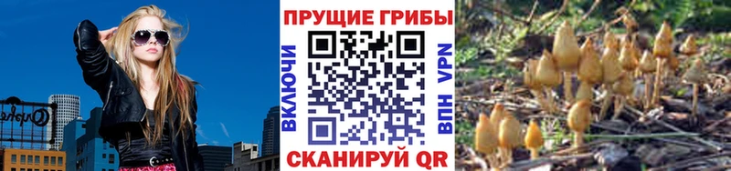 MEGA рабочий сайт  Пущино  Псилоцибиновые грибы Psilocybe 